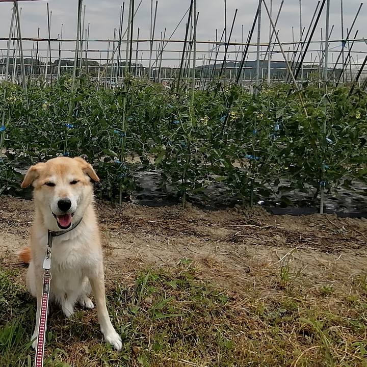 C39ac6cd 951d 4852 b5f9 e3b4bc2c50fc 1590642780665