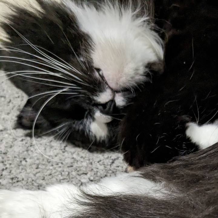 C39ace83 4011 4ea8 ad09 e833466ba564 1702181053159