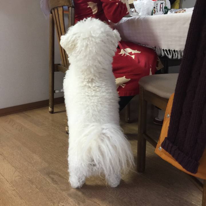 C39af3c0 2bdb 440b ba48 0f8a12863370 1547901409200