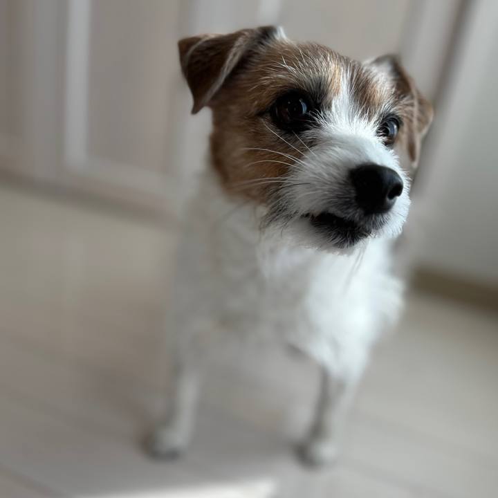 C39b69d3 650c 45b8 9234 48cc6de809df 1730698156636