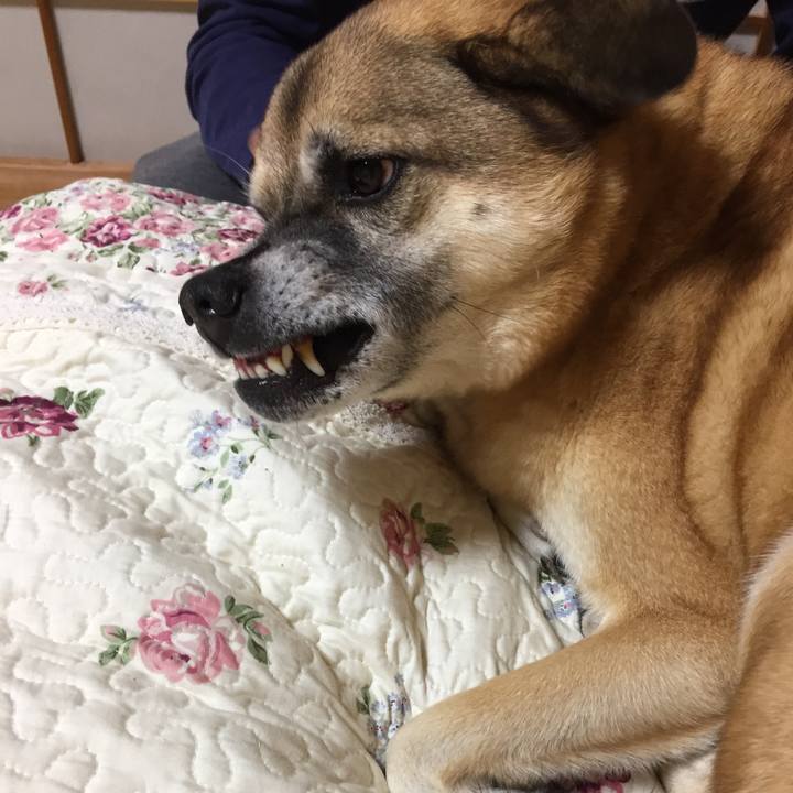 C39b7d26 14ef 46ec 9d8a cfc87f697d78 1510495518467