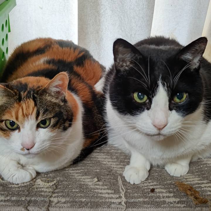 C39b9ded 0b4e 48fa 94b2 6c7729ab5c7e 1610941752825