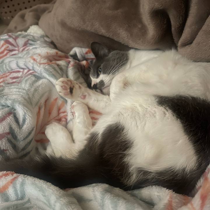 C39bc585 8d19 42dd 8ff3 be3d8655c9bc 1703294835904