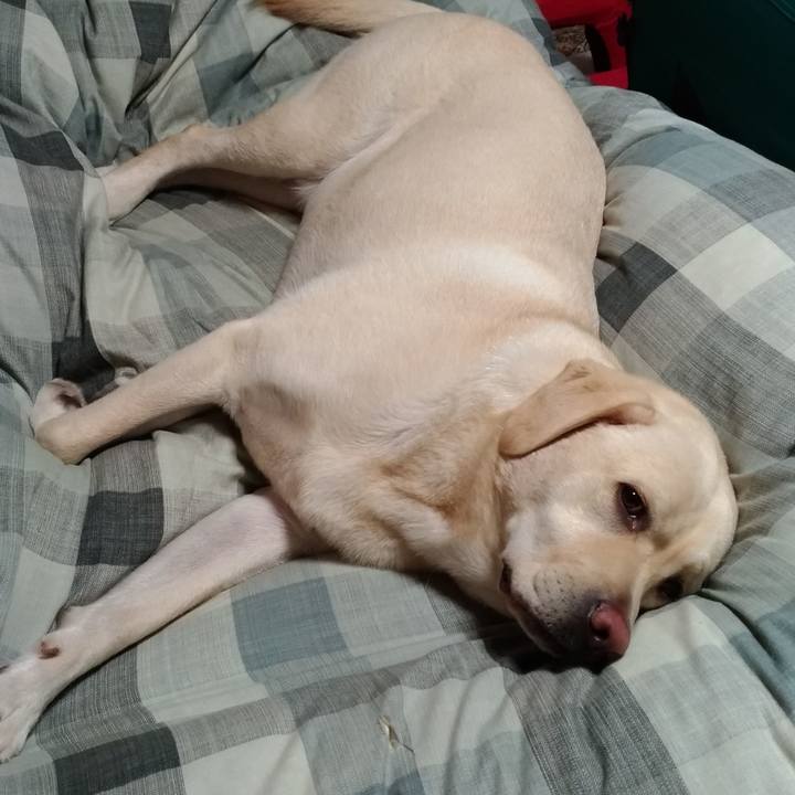 C39c0314 b2dc 4b9d ba96 6b1a76ed5dcb 1540303311783