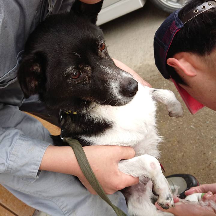 C39c23c6 7007 448b 869d f9c2afb7be09 1525064006645