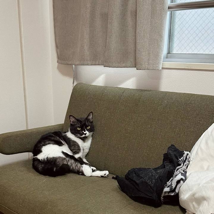 C39c59c0 4223 4c83 aab7 e3eb6586664d 1772777175160