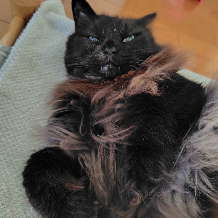 C39ca664 e894 4a11 8471 c49f675a4459 1734907578018