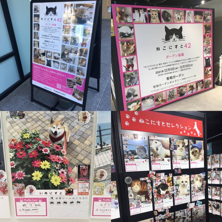 C39ca70d 7957 493d ac8b 63870a8d596c 1639878950716