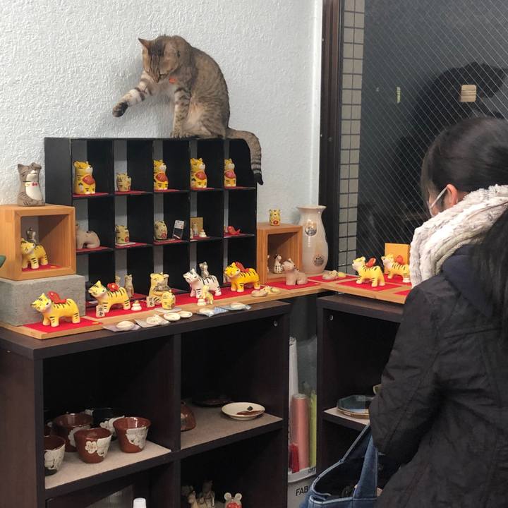 C39cc630 d587 41fa 96cb d525eb1c97fa 1639752584544