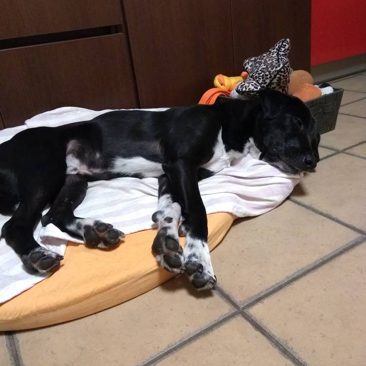 C39cd8ac fd98 46f8 a4a8 e83de443e2f1 1584579896970