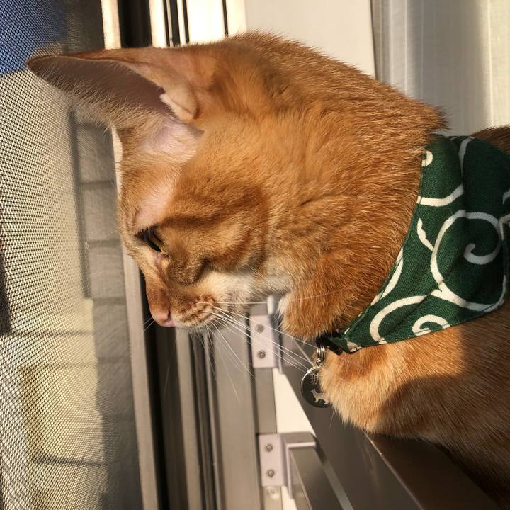 C39cda6d 3d71 4b9d 9a84 0245fbf98fac 1632607492188