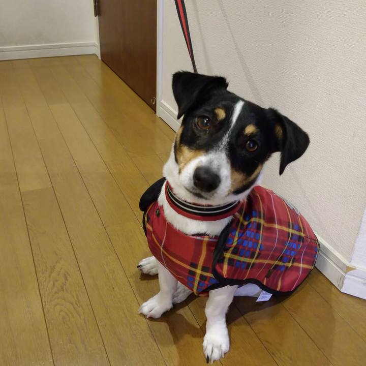 C39cdef0 6004 4e96 a40e bfe280b657e3 1620864655507