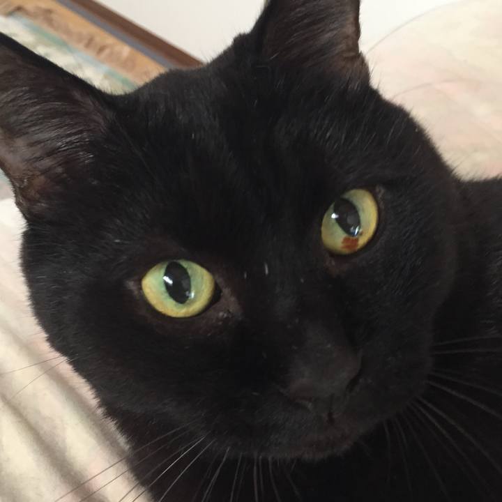 C39ce1a1 bd0e 4c9c 9062 fad809309999 1535933543718