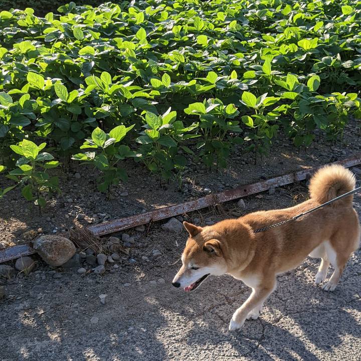 C39cf331 56c1 4507 bf71 004e0a7b4a72 1659516989747