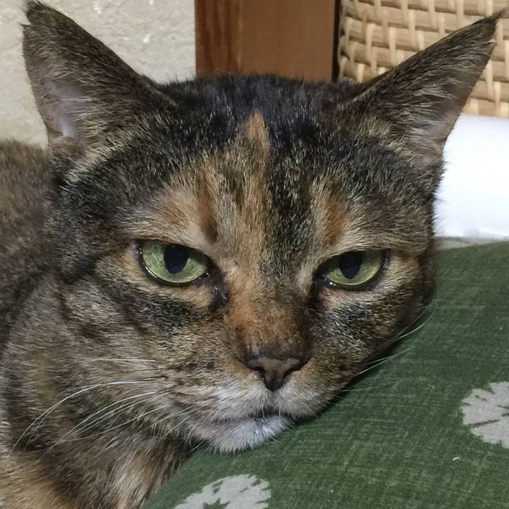 C39d14d1 eb4c 4ef5 a516 2023768ec0f3 1581753419764