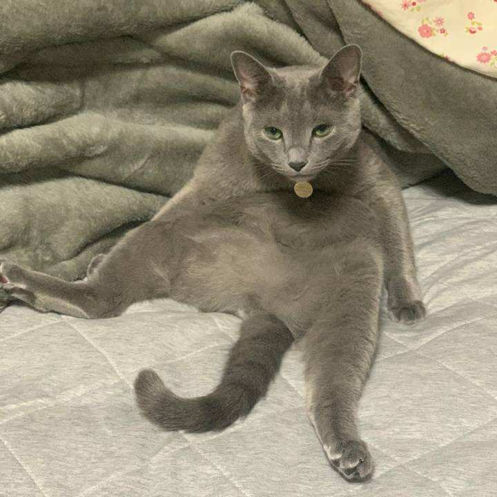 C39d616a 40a9 45eb 89d3 7b9e3d92eba5 1603149160542