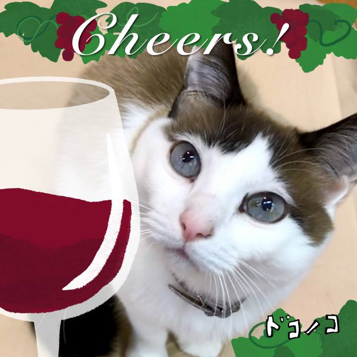 C39d7f69 e451 4833 bc36 7199cdfbf295 1761289460981