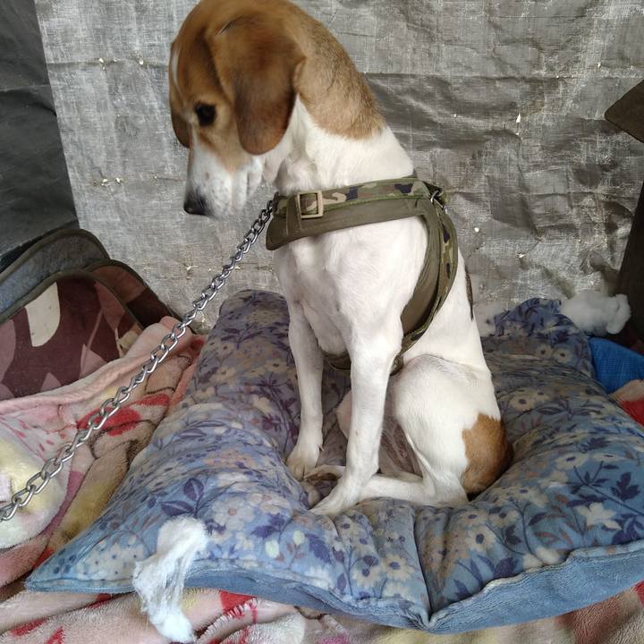 C39d98c8 6751 4d8f a570 f742daa4583e 1672987518174