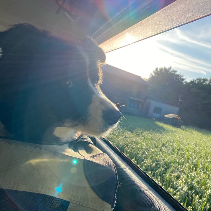 C39da589 6d78 49b4 a401 bf19067abf85 1662502047020