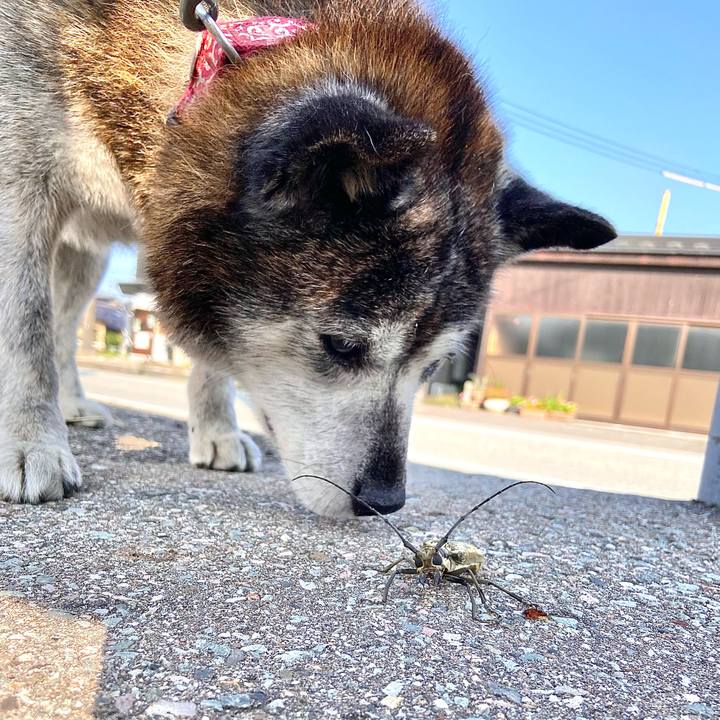 C39da5c4 2cab 4461 bce8 58c9d85468c0 1750373475878