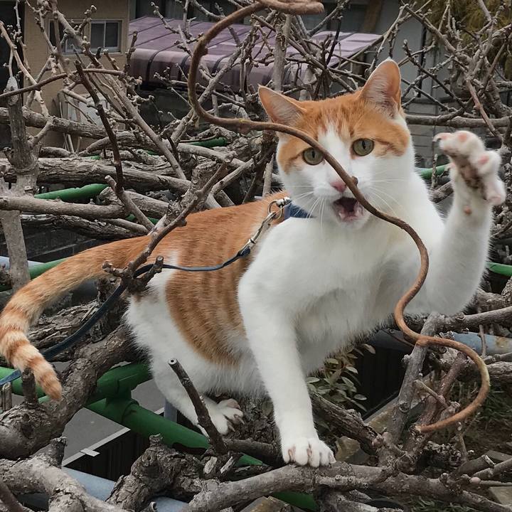 C39da6a9 072c 465e 829a 37453e72d985 1518318360836