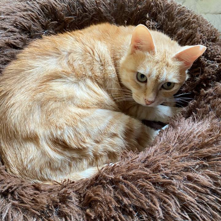 C39da9e5 97ce 4412 904a a42ce8e9339b 1747539295399