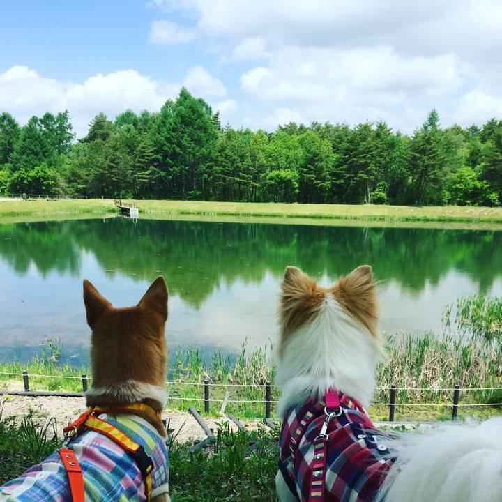 C39dba41 8a40 4ed0 80a2 80f4bf44cbcc 1530329906796