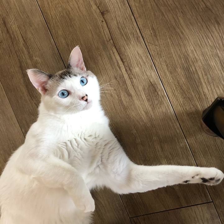 C39dbf31 1995 44fa 8589 096d86518dc5 1600649448185