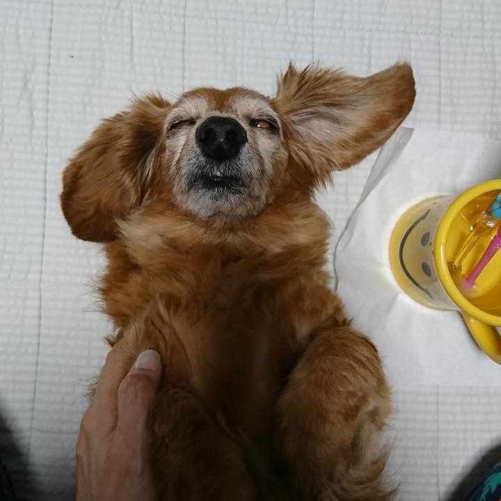 C39dede4 7461 412f 8168 a5637f91139f 1582742150249