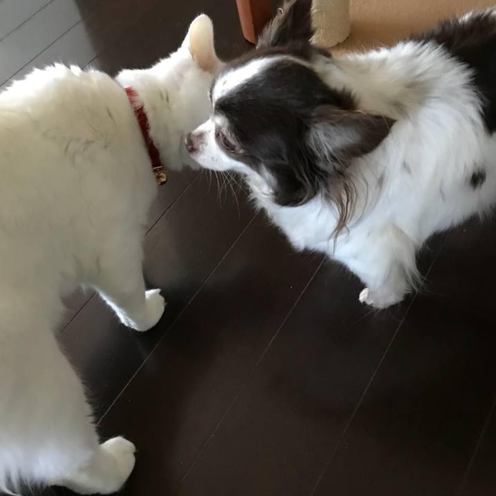 C39def18 09e0 47ab 825f 81d3eea847d1 1515204848326