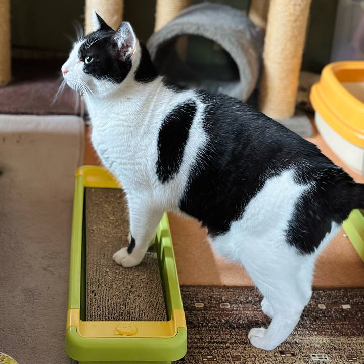 C39e29c7 0ebb 4845 816c 2e6371f7ce9c 1701395081512