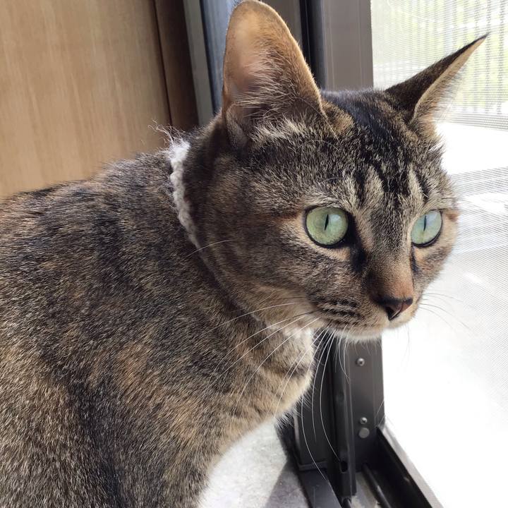 C39e3e13 c893 422b aa4a bcda241641f9 1651454534010