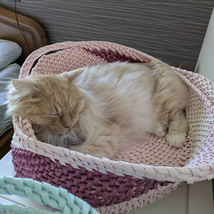 C39e6eec 27d4 49d9 becd f81871e516e2 1749088321540