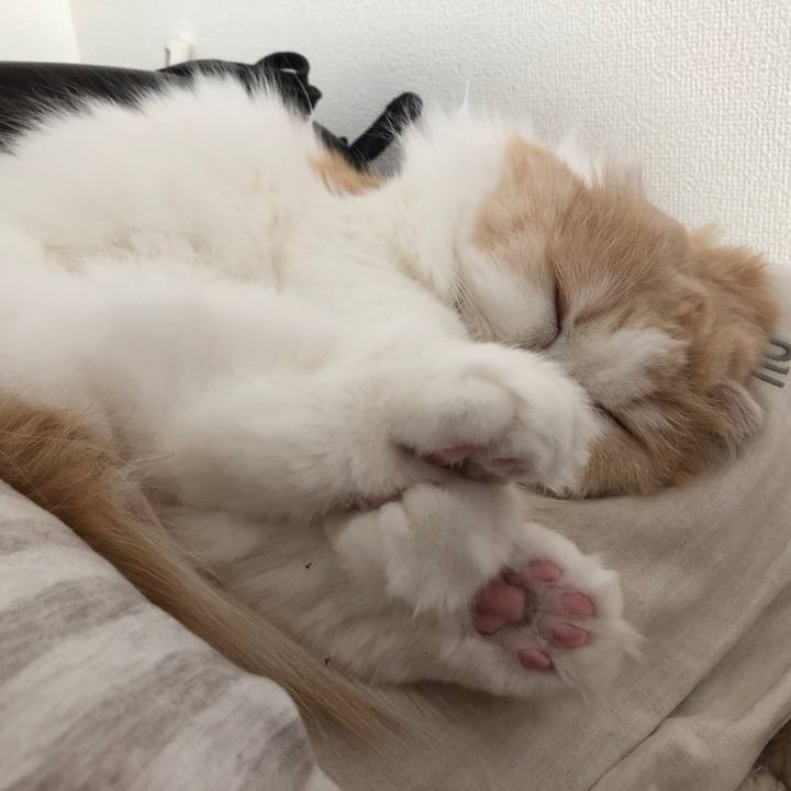 C39e8095 10e4 458d 97b7 4213b22d675a 1620166617537