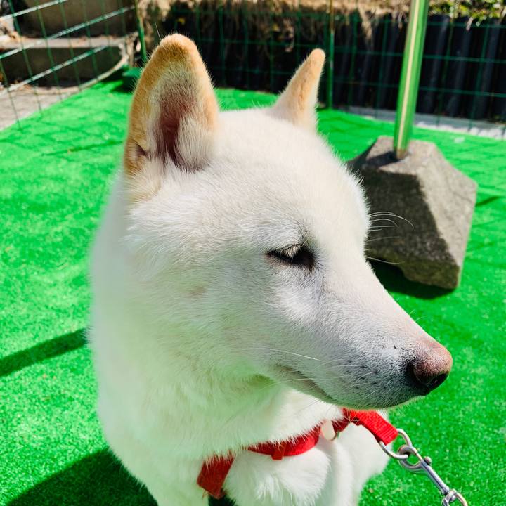 C39ec346 bdfe 445f 8b7a f3d373bd8fe0 1586848153629