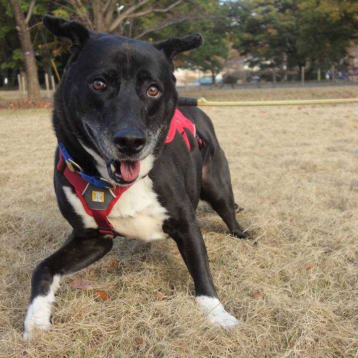 C39ee858 36f4 44c5 b6ce 18b475ba559a 1668213288168