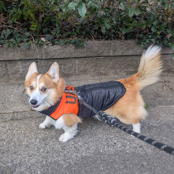 C39eef7b 5189 48cc b171 8f500b678237 1765584830629