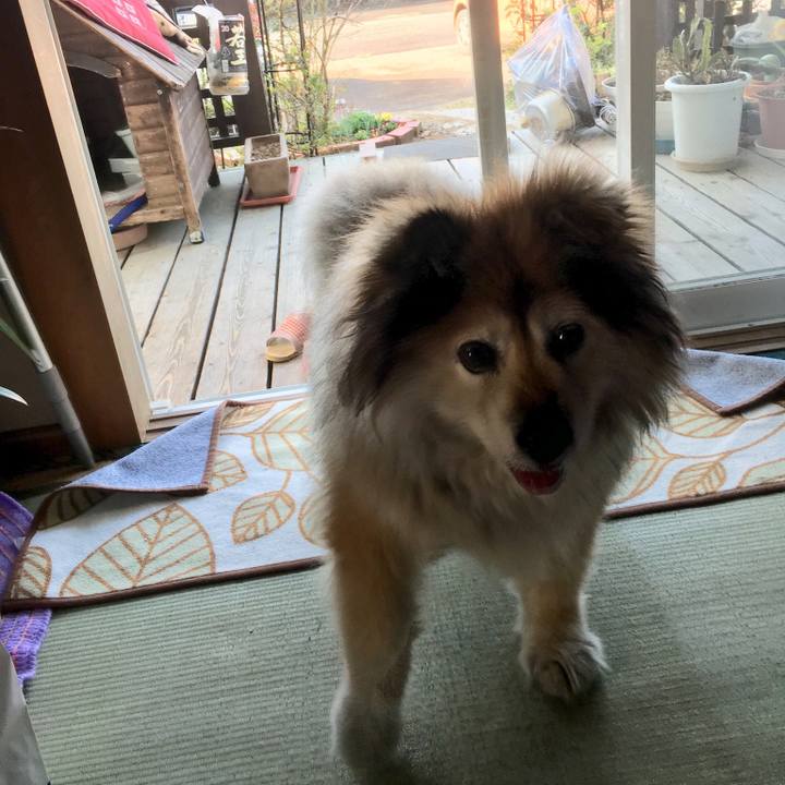 C39ef2f2 da8d 4e2a a216 338e0580ea15 1567776066158