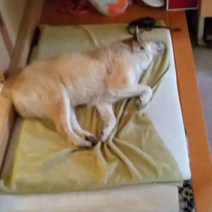 C39f0c11 6315 425b 8848 2c940ecb5937 1601866891944