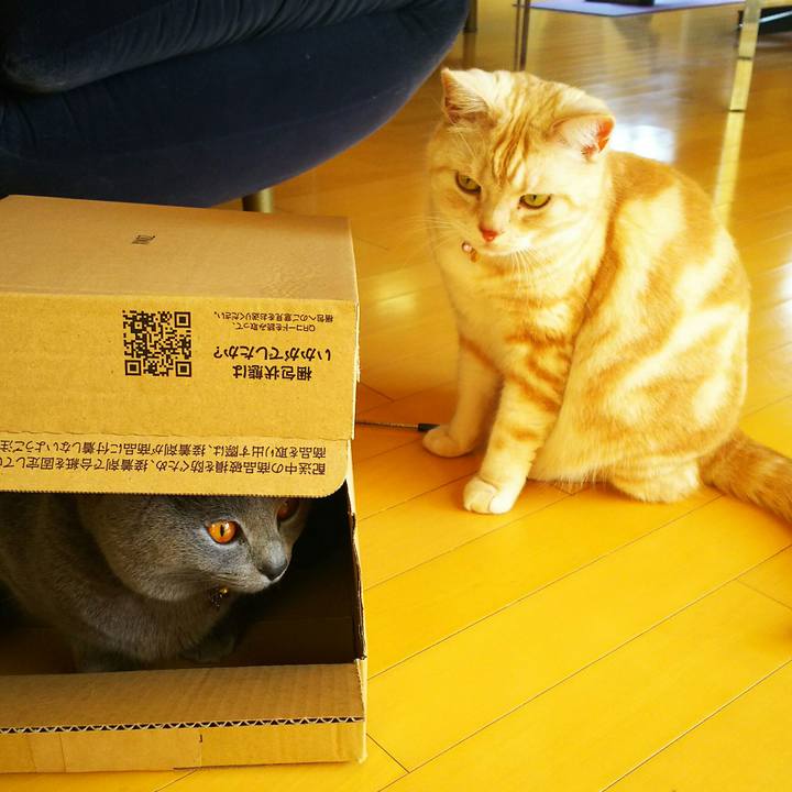 C39f0cef 356a 44b4 b56f e0da24ed593f 1522201119301