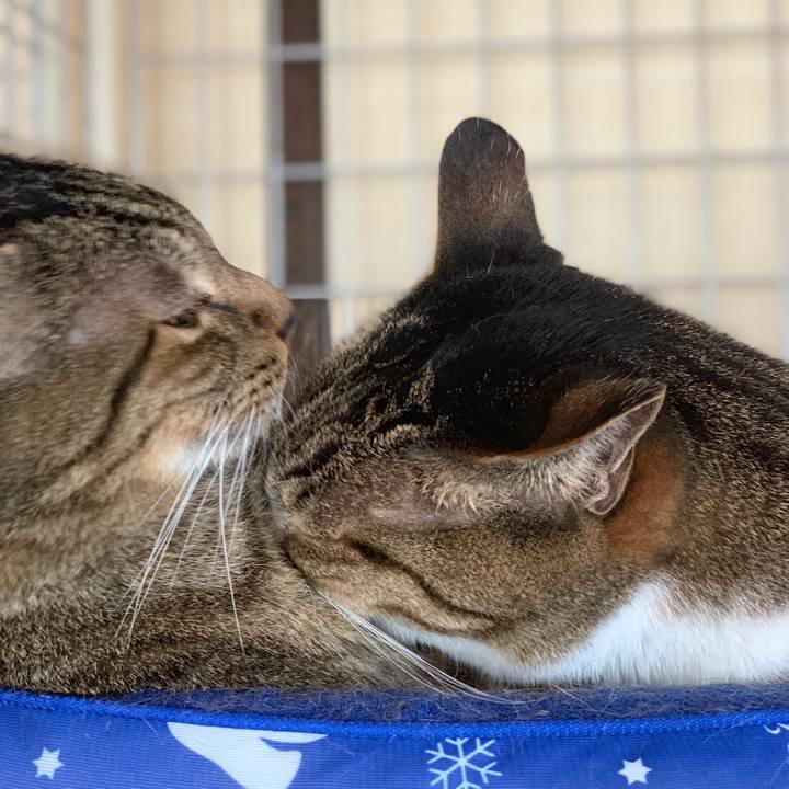 C39f109b 517e 4a7b 8eb5 0b076a20986b 1569287236602