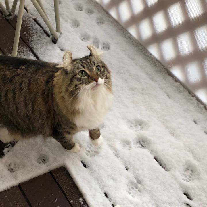 C39f27ef 06ae 4f9d 86fa 11151ed46978 1579231497170