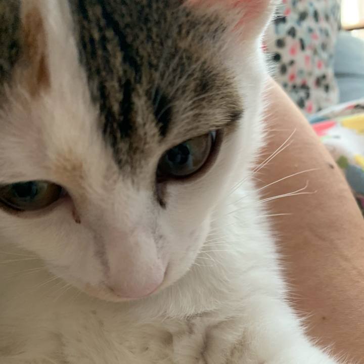 C39f2b95 f2ca 42fd 84af ff9d4d1110b9 1598323014163