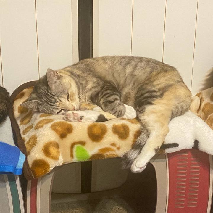 C39f3d23 39b3 4bbf 845a f6c6d53ad088 1638464541301