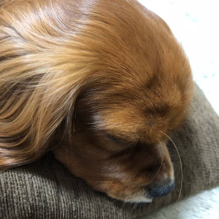 C39f5002 feb0 45b9 9303 0dccd9368fe3 1526941801423