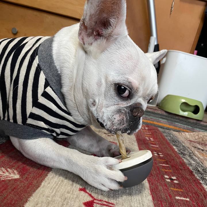 C39f8d26 a622 40bf 8b3e ce7df504cc6b 1741906513841