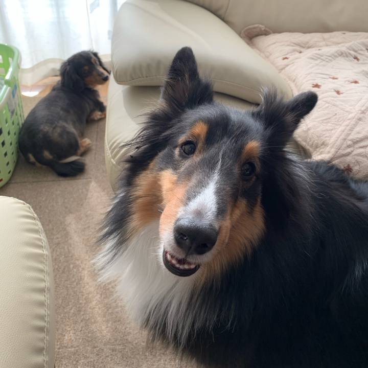 C39fdfc5 9535 4d43 a0b8 afd7a8599a6e 1585263427383