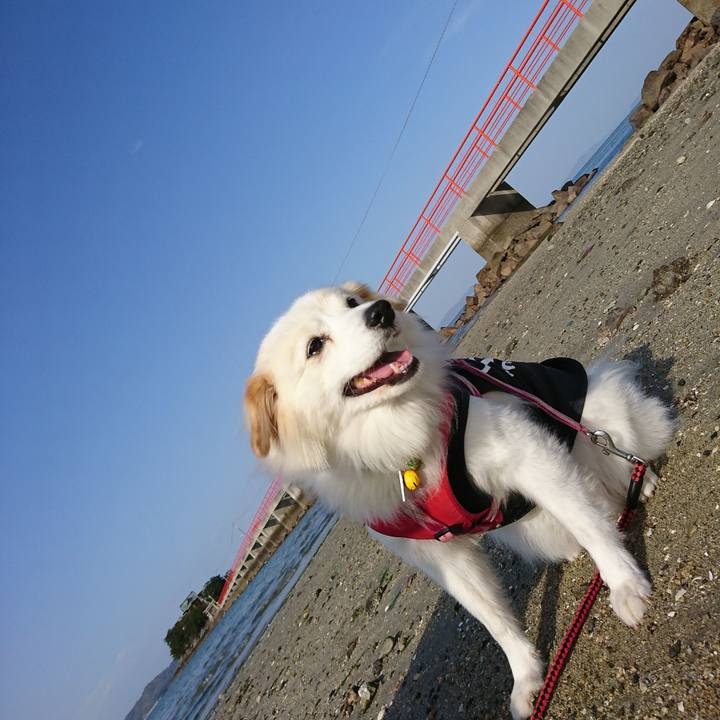 C3a00ed6 4c78 49ef b5eb 9ce89bb7a9ae 1543553407915