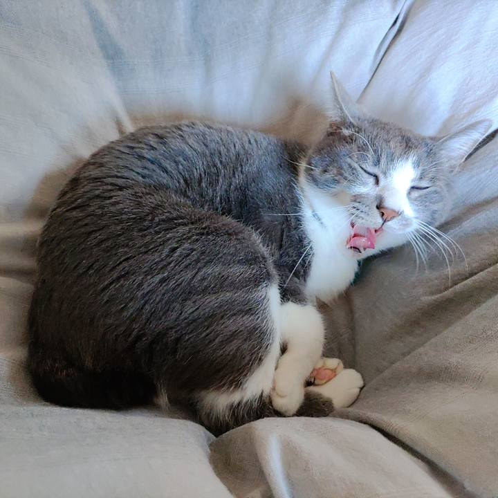 C3a026a9 efa4 475b 87a2 cd43d21de279 1670724321250