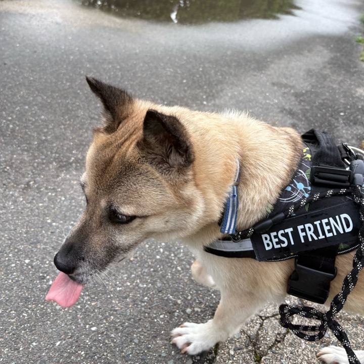 C3a0798f f795 47e5 b25b f9ef6815c948 1750852626144